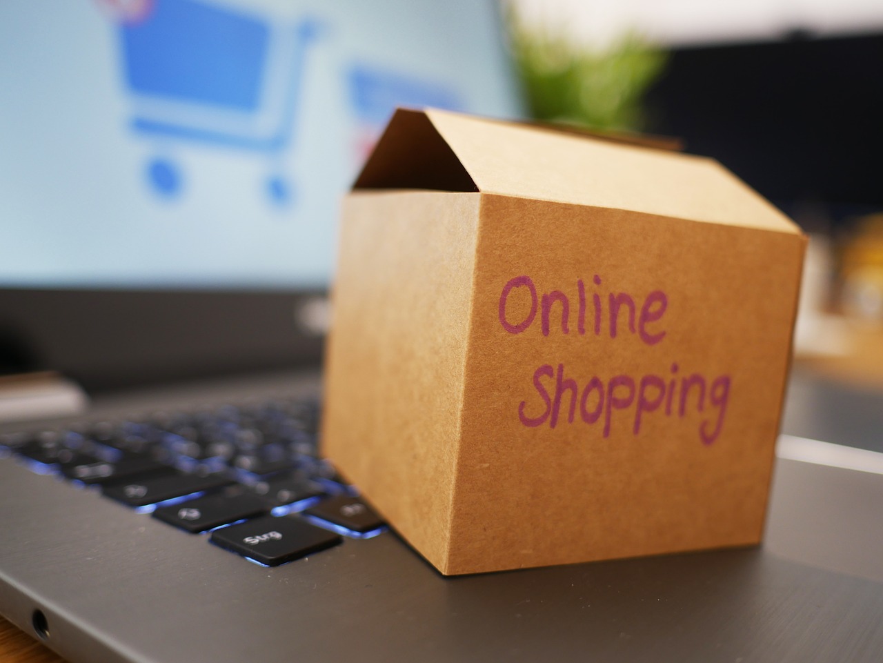 Choisir entre Shopify et Etsy